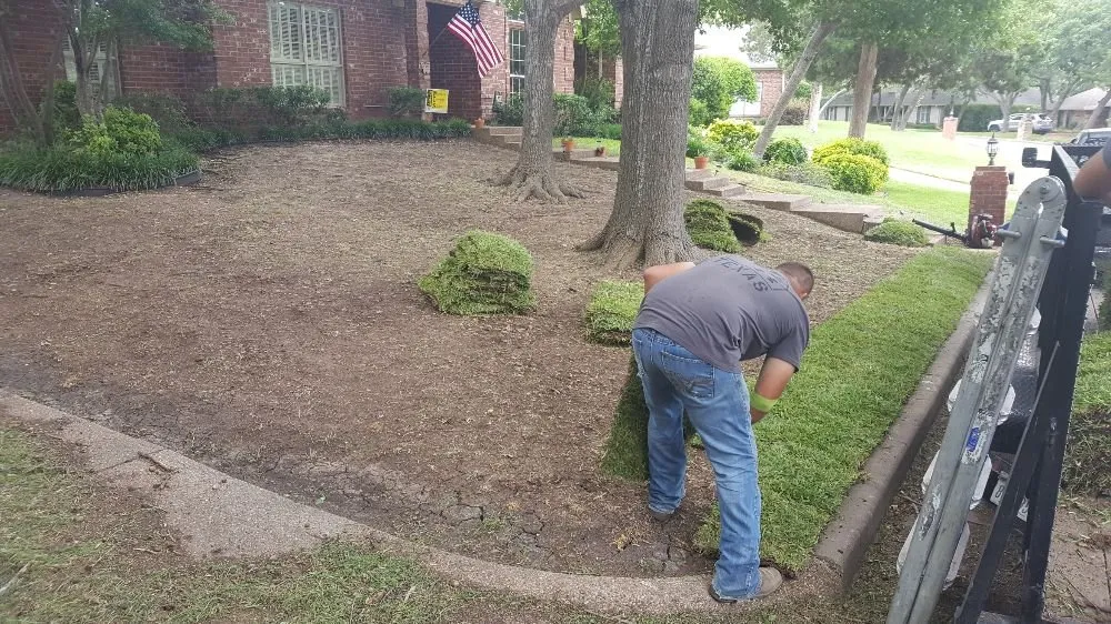 Expert landscape design for beautiful yards across Waco, TX - Feregrino's Landscaping & More