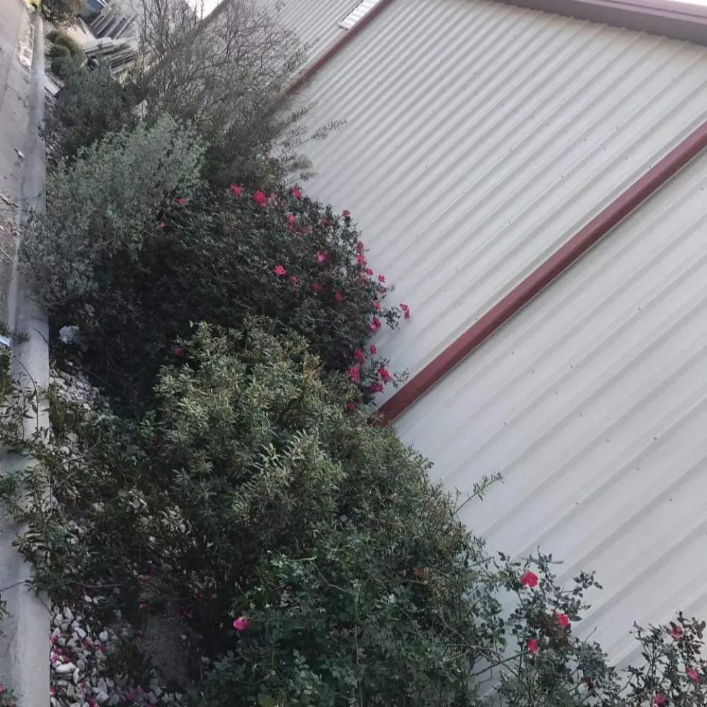 Top-rated yard cleanup service in Waco, TX by Feregrino's Landscaping & More