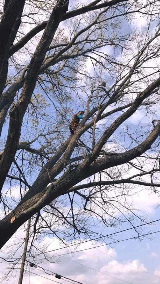 Professional outdoor landscaping experts serving Waco, TX - Feregrino's Landscaping & More