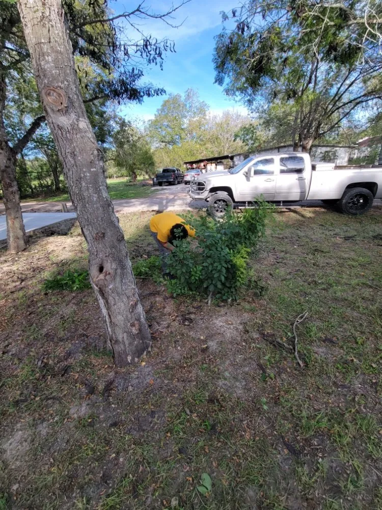 Custom landscape design in Victoria, TX - Fergreen Lawncare