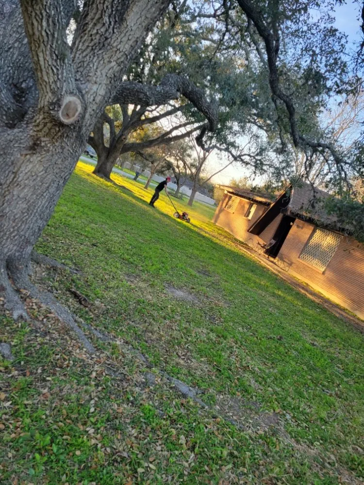 Top-rated yard maintenance in Victoria, TX - Fergreen Lawncare