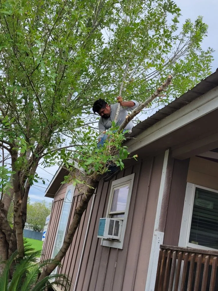 Custom landscaping services experts serving Victoria, TX - Fergreen Lawncare