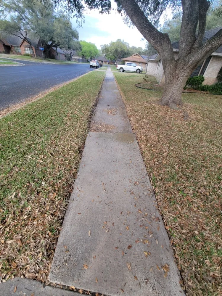 Expert lawn care service for residential properties across Victoria, TX - Fergreen Lawncare