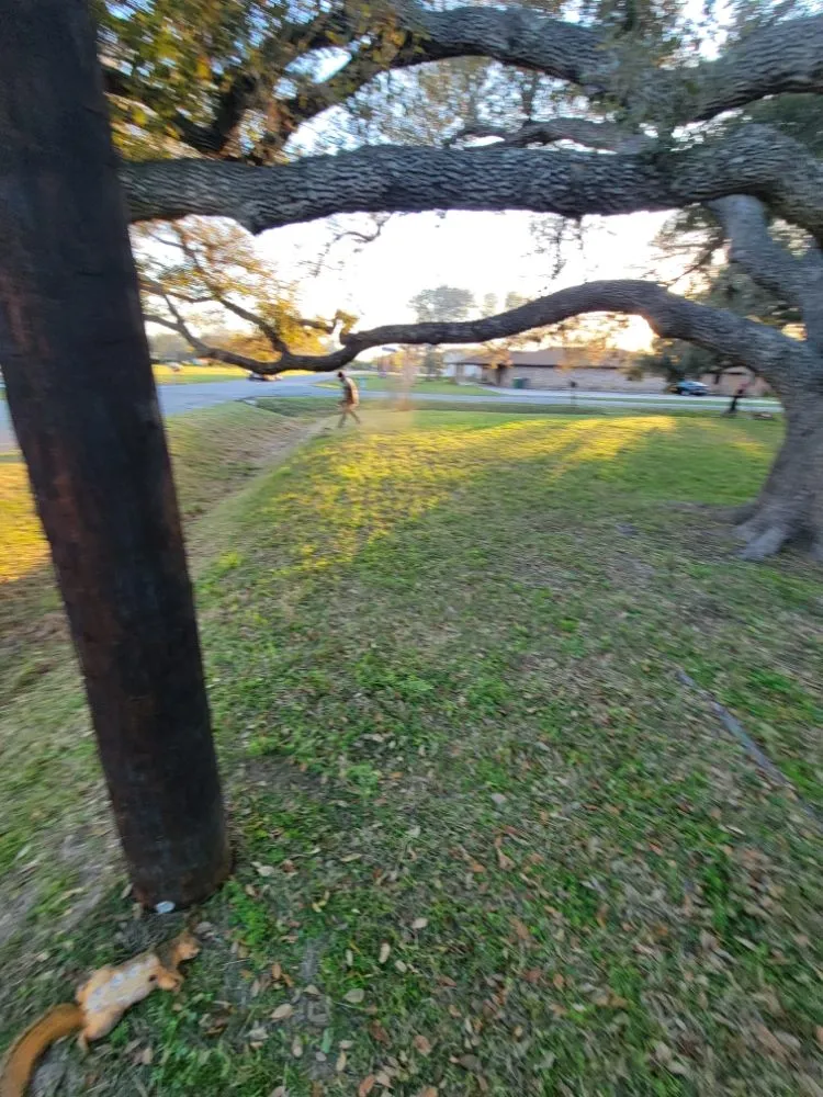 Local yard cleanup service in Victoria, TX - Fergreen Lawncare