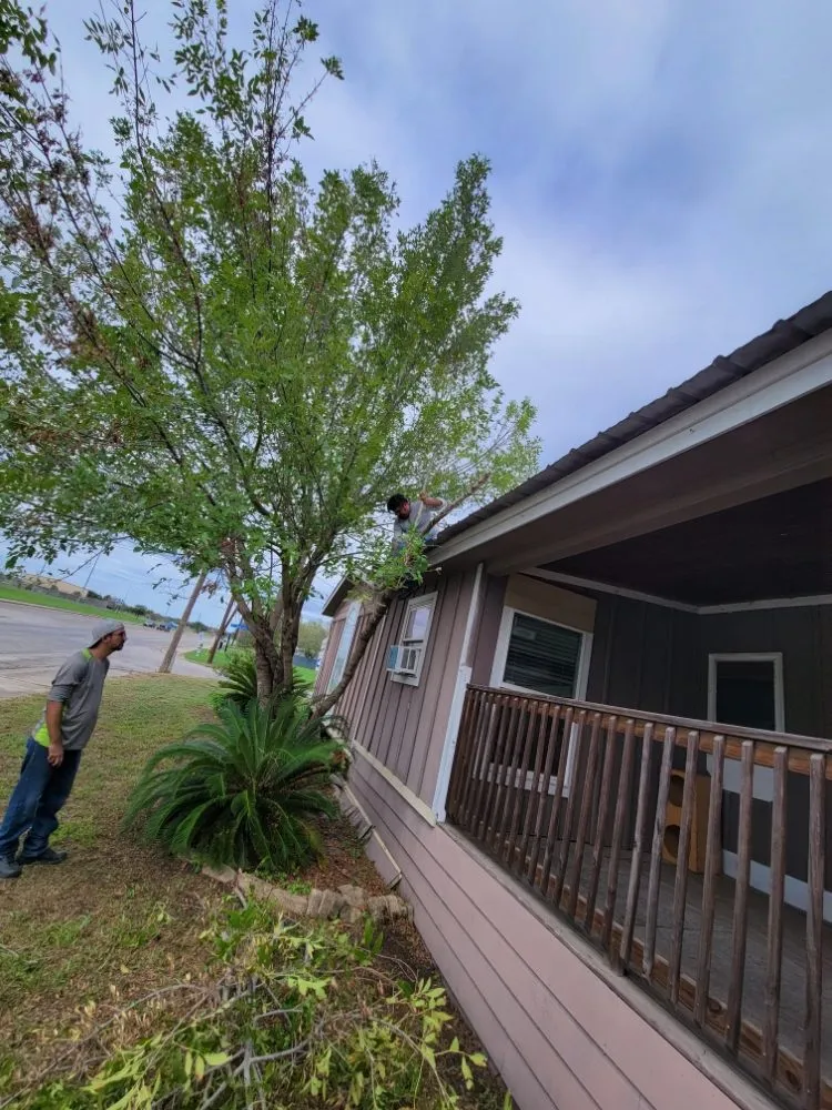 Top-rated landscape installation in Victoria, TX - Fergreen Lawncare