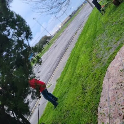 Fergreen Lawncare Logo