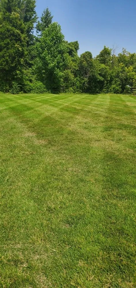 Local lawn mowing service with custom design across Memphis, IN - Ferguson Lawn And Maintenance