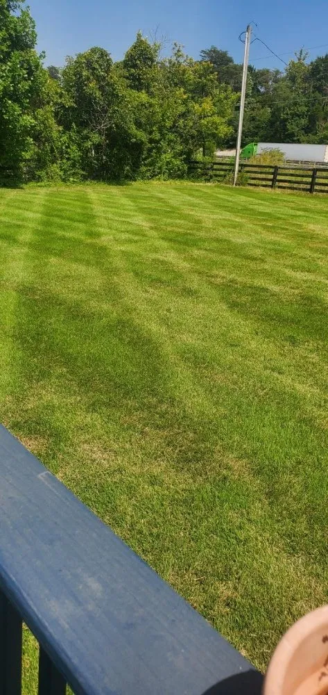 Trusted landscape installation in Memphis, IN - Ferguson Lawn And Maintenance