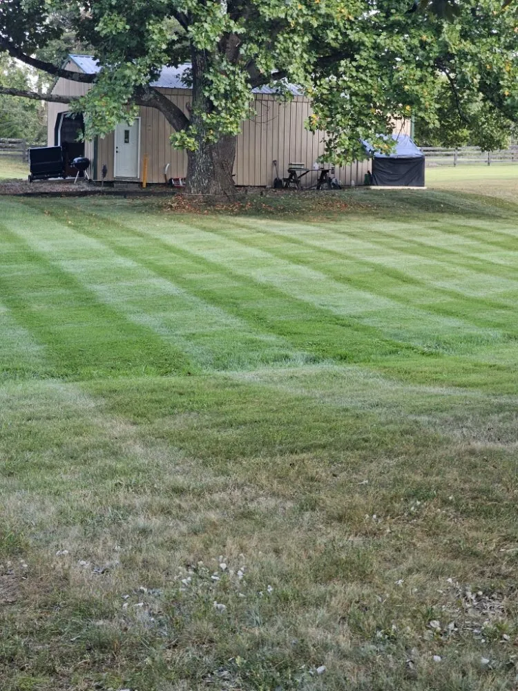 Custom yard maintenance in Memphis, IN by Ferguson Lawn And Maintenance