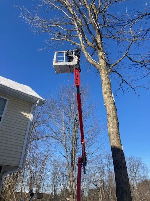 Custom landscape installation for beautiful yards in Fenton, MI by Ferguson Lawn and Tree Service