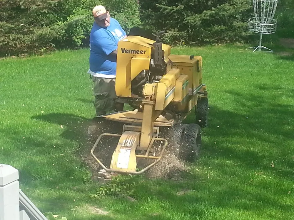 Local outdoor landscaping in Fenton, MI - Ferguson Lawn and Tree Service