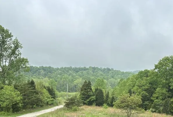 Ferguson Lawn Services