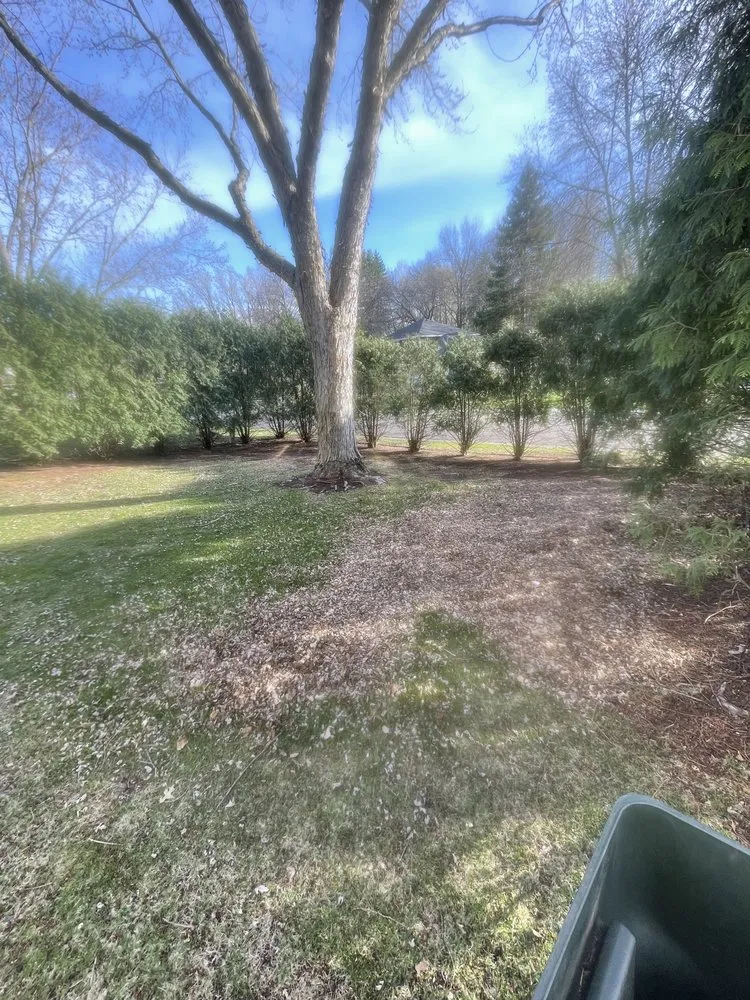 Expert garden landscaping in Plymouth, MN by Ferguson Property Services