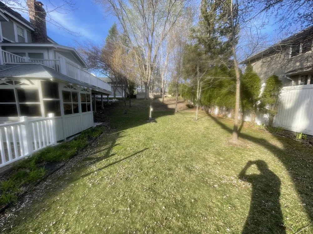 Affordable yard cleanup service experts serving Plymouth, MN - Ferguson Property Services