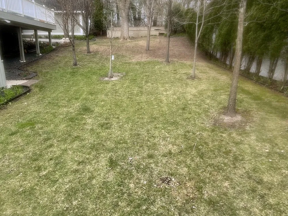 Professional residential landscaping in Plymouth, MN - Ferguson Property Services