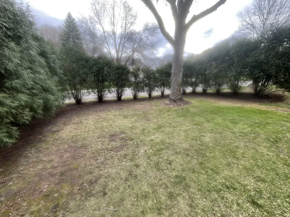 Professional residential landscaping in Plymouth, MN - Ferguson Property Services