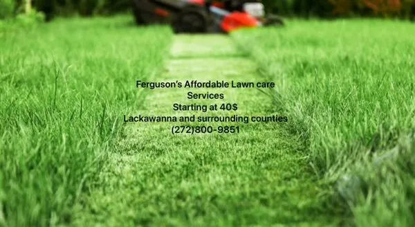 Ferguson’s Affordable Lawn Care