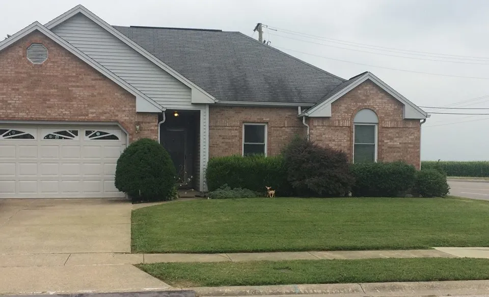 Professional landscaping services in Hawesville, KY - Ferguson's