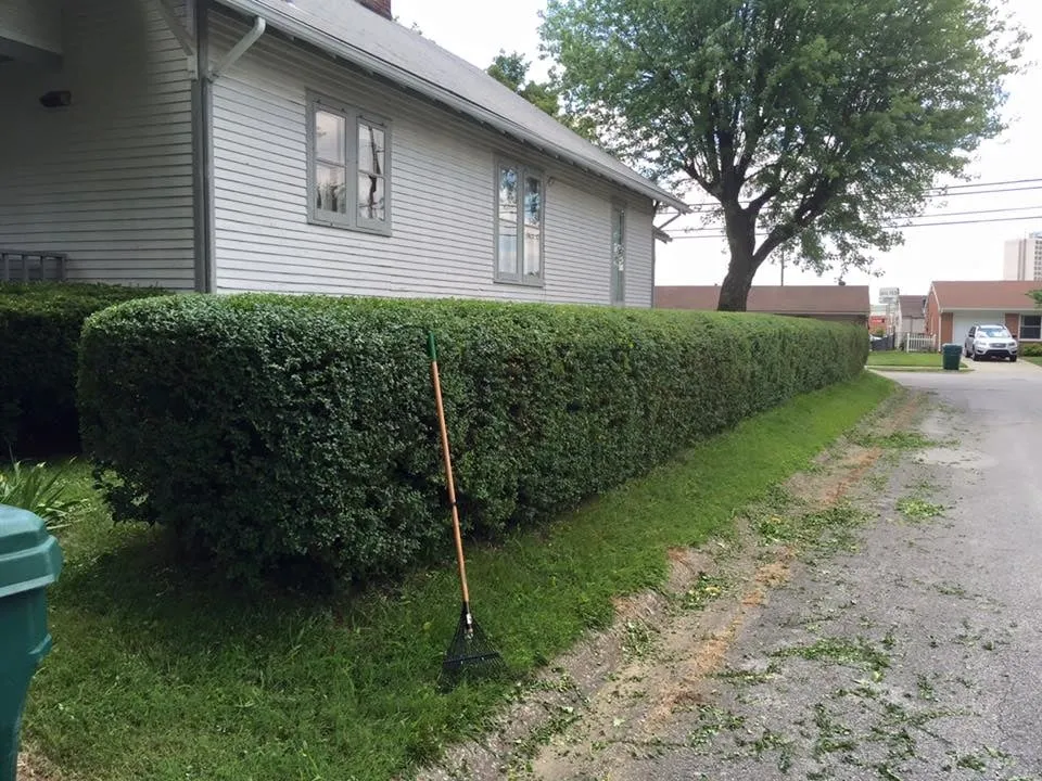 Reliable garden landscaping in Hawesville, KY by Ferguson's