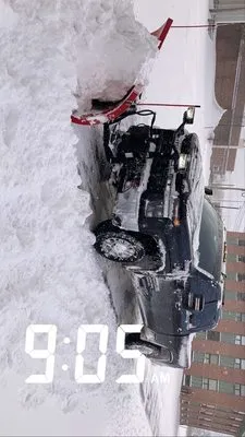 Ferguson’s Landscaping and Plowing Logo