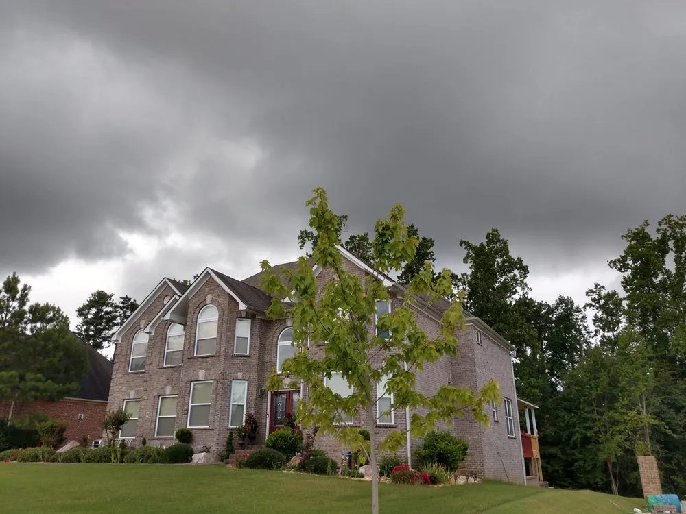 Reliable yard cleanup service experts serving Locust Grove, GA - Ferguson's Landscaping