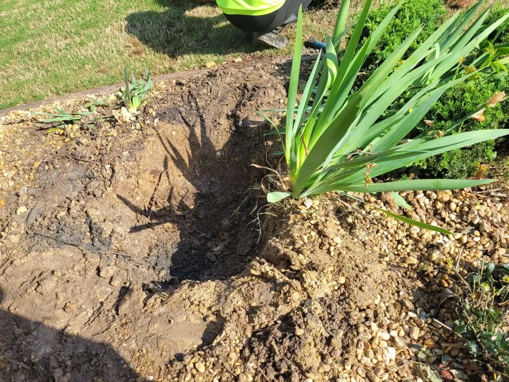Local residential landscaping in Locust Grove, GA - Ferguson's Landscaping