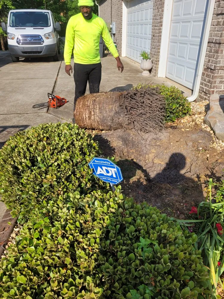 Top-rated landscaping services in Locust Grove, GA by Ferguson's Landscaping