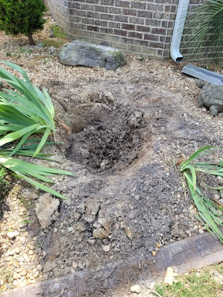 Expert lawn care service in Locust Grove, GA - Ferguson's Landscaping