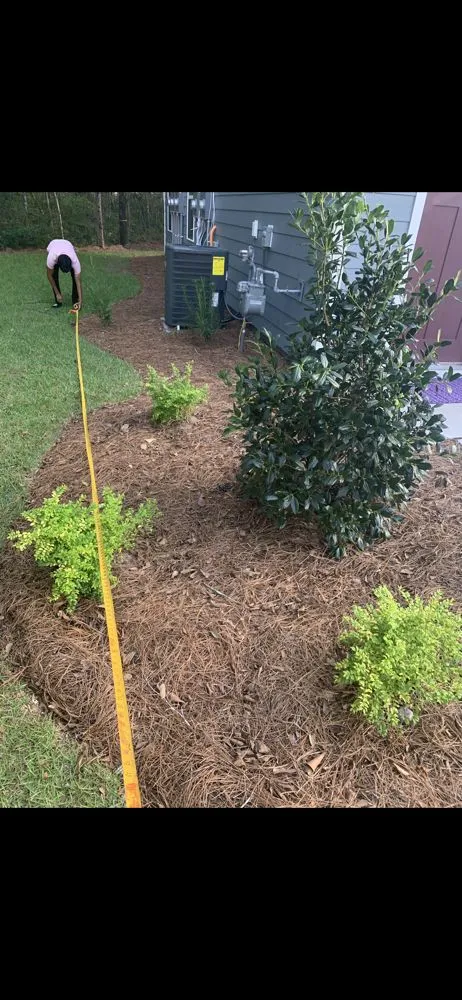 Trusted lawn care service in Summerville, SC by Feria Landscape Concepts