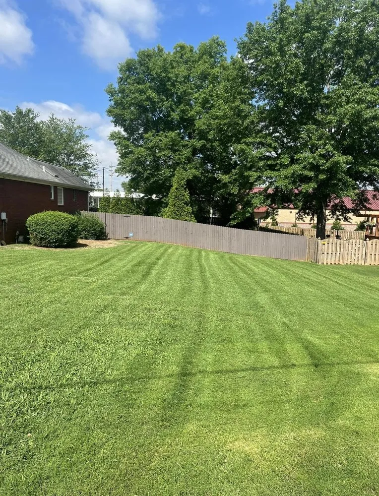 Expert landscape installation experts serving Madison, AL - Feria Lawn Care Services