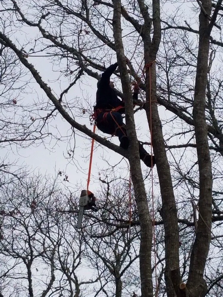 Professional outdoor landscaping with custom design across Cotuit, MA - Ferla Tree & Lawn Care