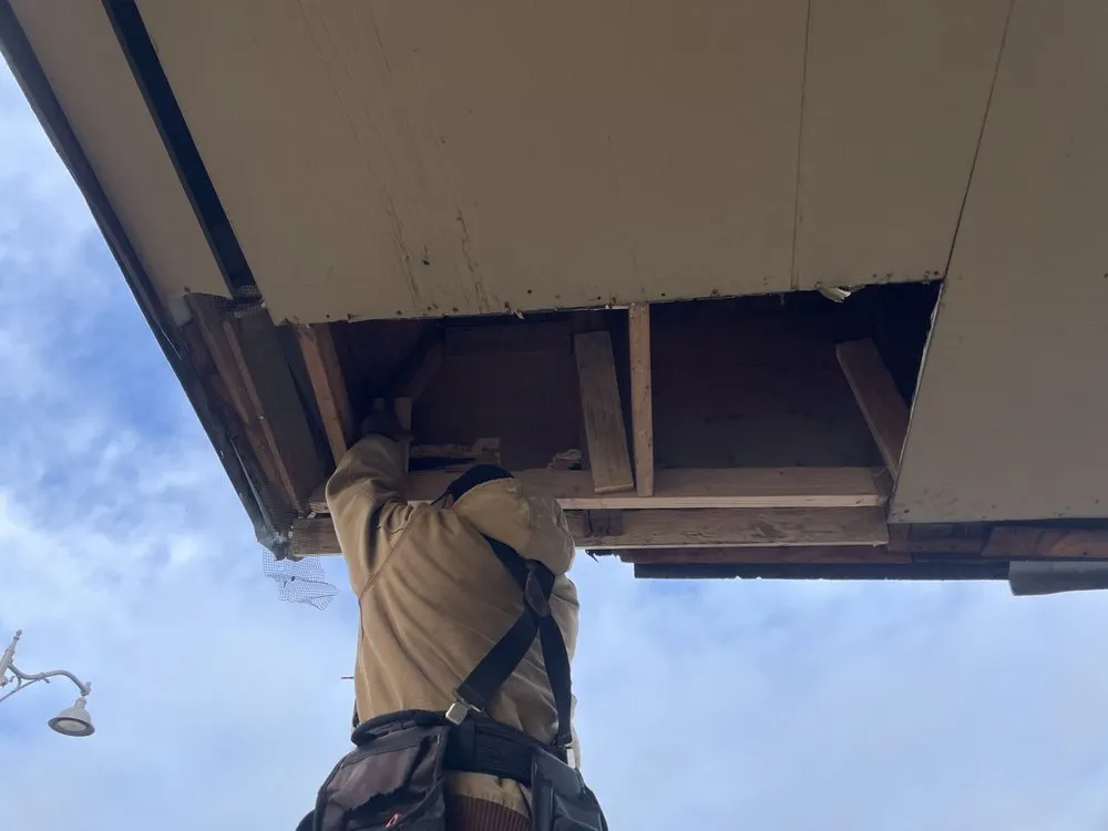 Expert residential landscaping experts serving Redwood City, CA - Ferman Landscaping and Maintenance Services