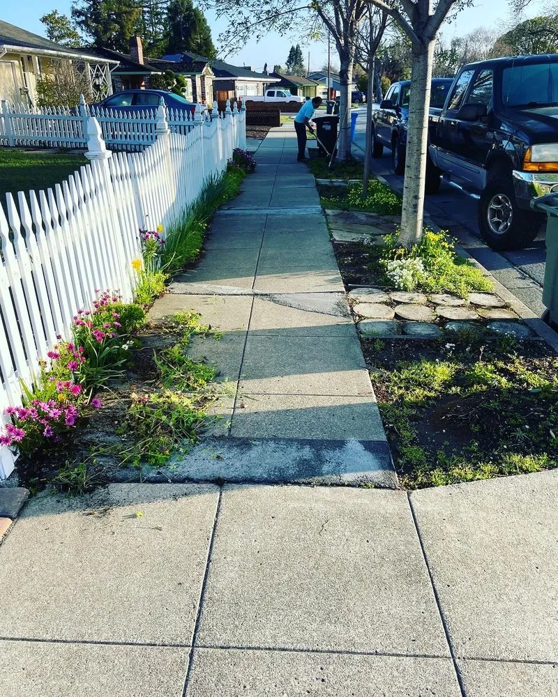 Top-rated landscape design for residential properties in Redwood City, CA by Ferman Landscaping and Maintenance Services