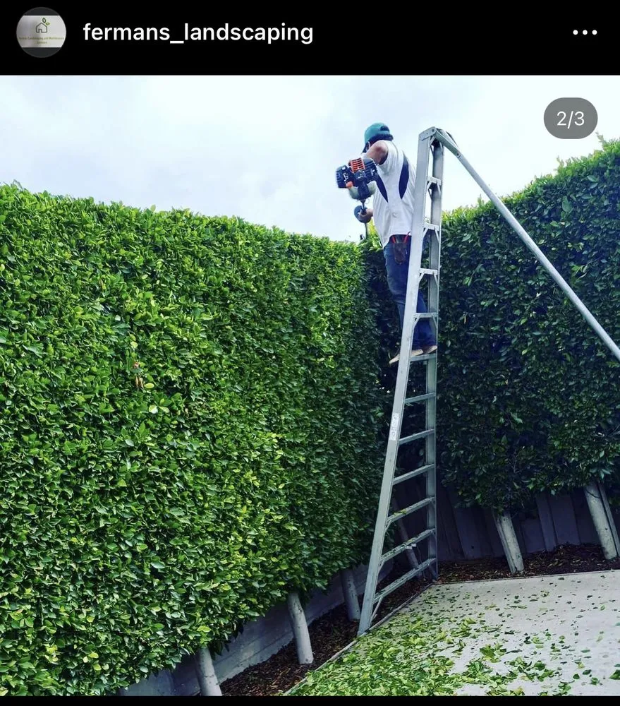 Reliable outdoor landscaping in Redwood City, CA by Ferman Landscaping and Maintenance Services