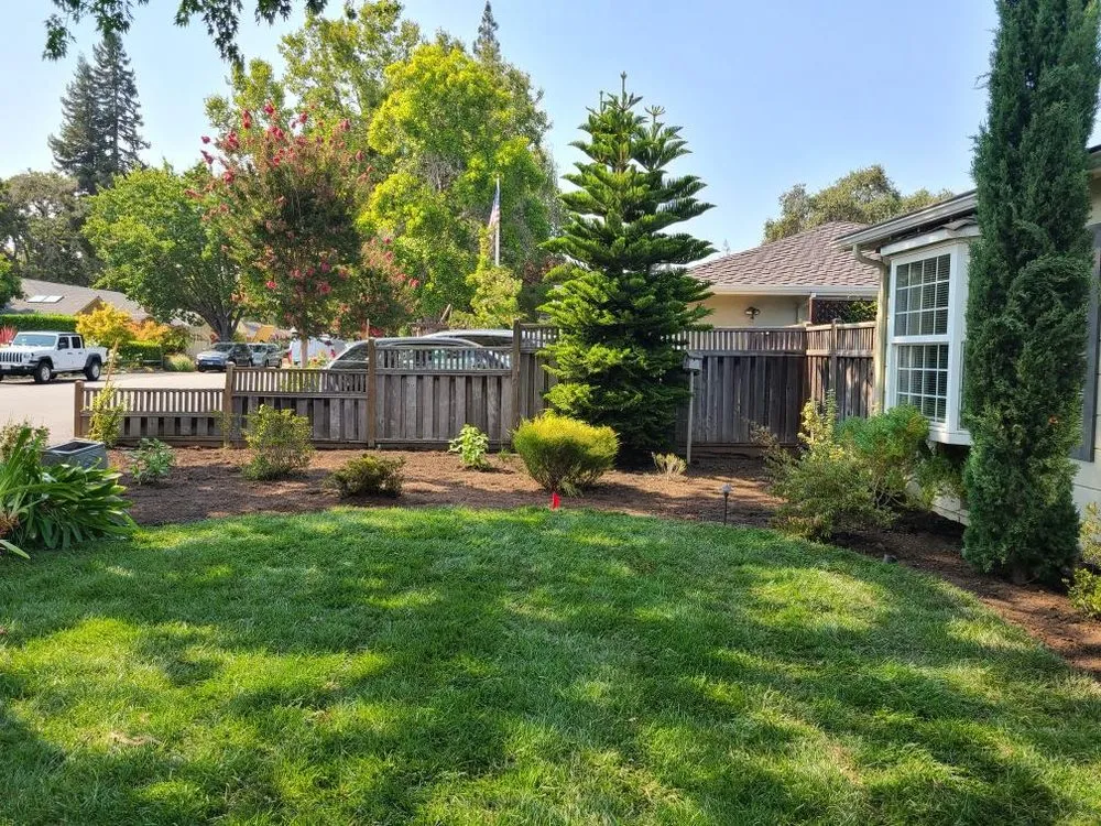 Local landscape design in Redwood City, CA by Ferman Landscaping and Maintenance Services