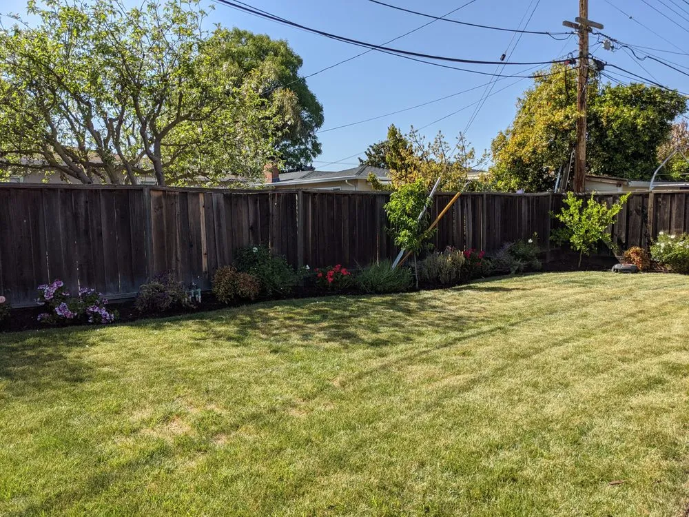Top-rated landscape installation experts serving Redwood City, CA - Ferman Landscaping and Maintenance Services