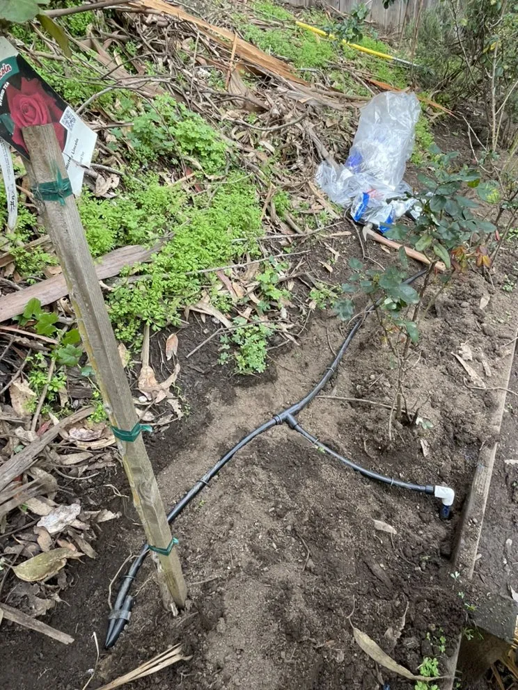 Custom garden landscaping in Redwood City, CA by Ferman Landscaping and Maintenance Services