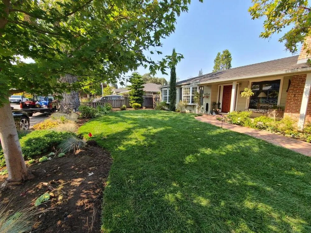 Custom lawn care service in Redwood City, CA - Ferman Landscaping and Maintenance Services
