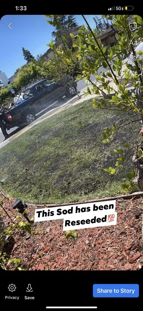 Professional landscaping services for outdoor upgrades in Redwood City, CA by Ferman Landscaping and Maintenance Services