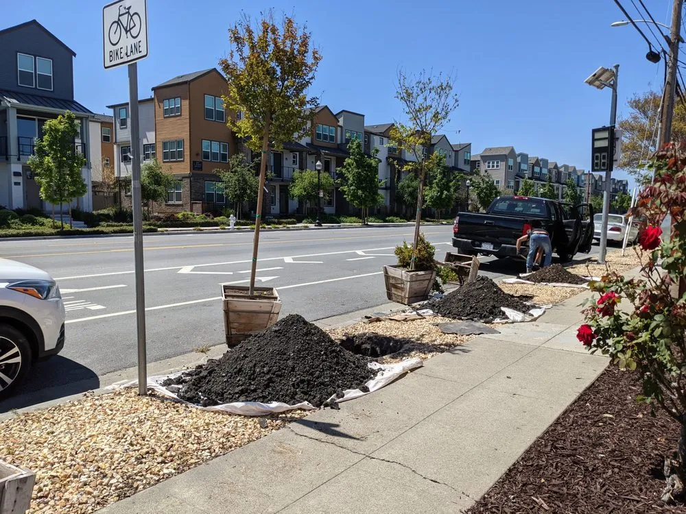 Expert yard maintenance experts serving Redwood City, CA - Ferman Landscaping and Maintenance Services