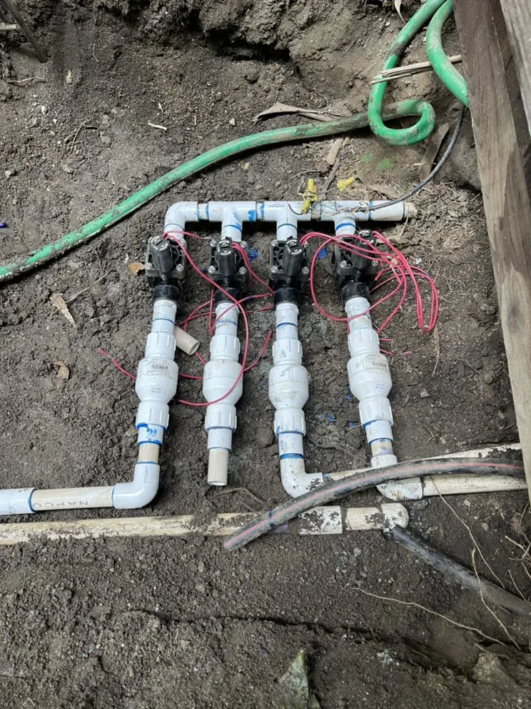 Expert landscape design in Redwood City, CA by Ferman Landscaping and Maintenance Services