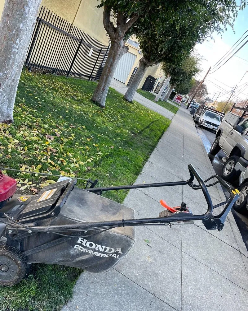 Custom lawn mowing service for residential properties across Redwood City, CA - Ferman Landscaping and Maintenance Services