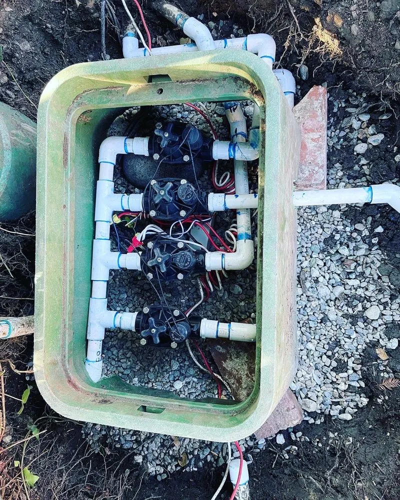 Reliable residential landscaping in Redwood City, CA by Ferman Landscaping and Maintenance Services