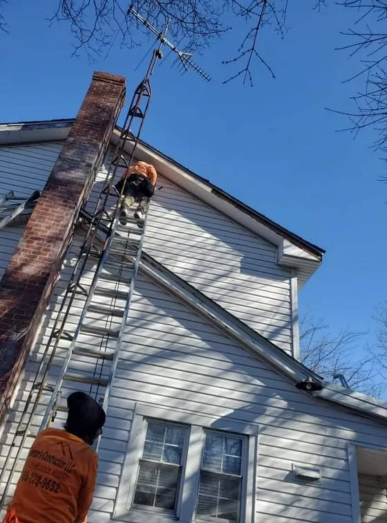 Trusted lawn mowing service experts serving Springfield, VA - Fermans Construction