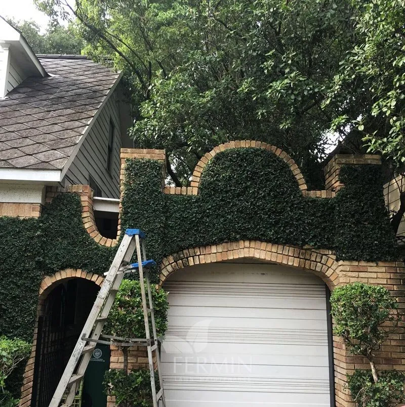 Affordable yard maintenance in Houston, TX - Fermin Lawn Maintenance