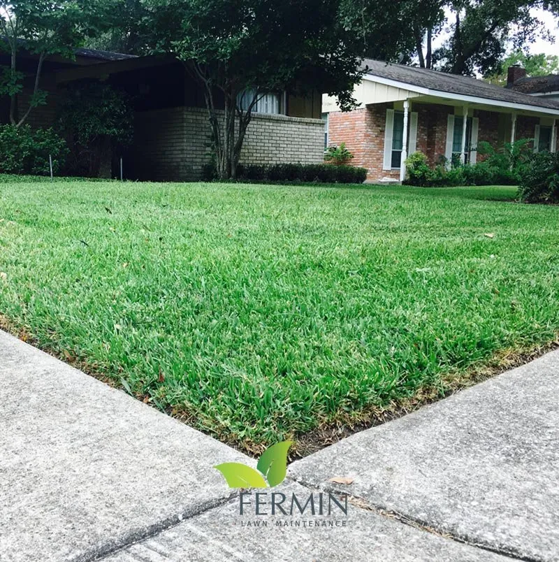 Trusted lawn mowing service near you in Houston, TX by Fermin Lawn Maintenance