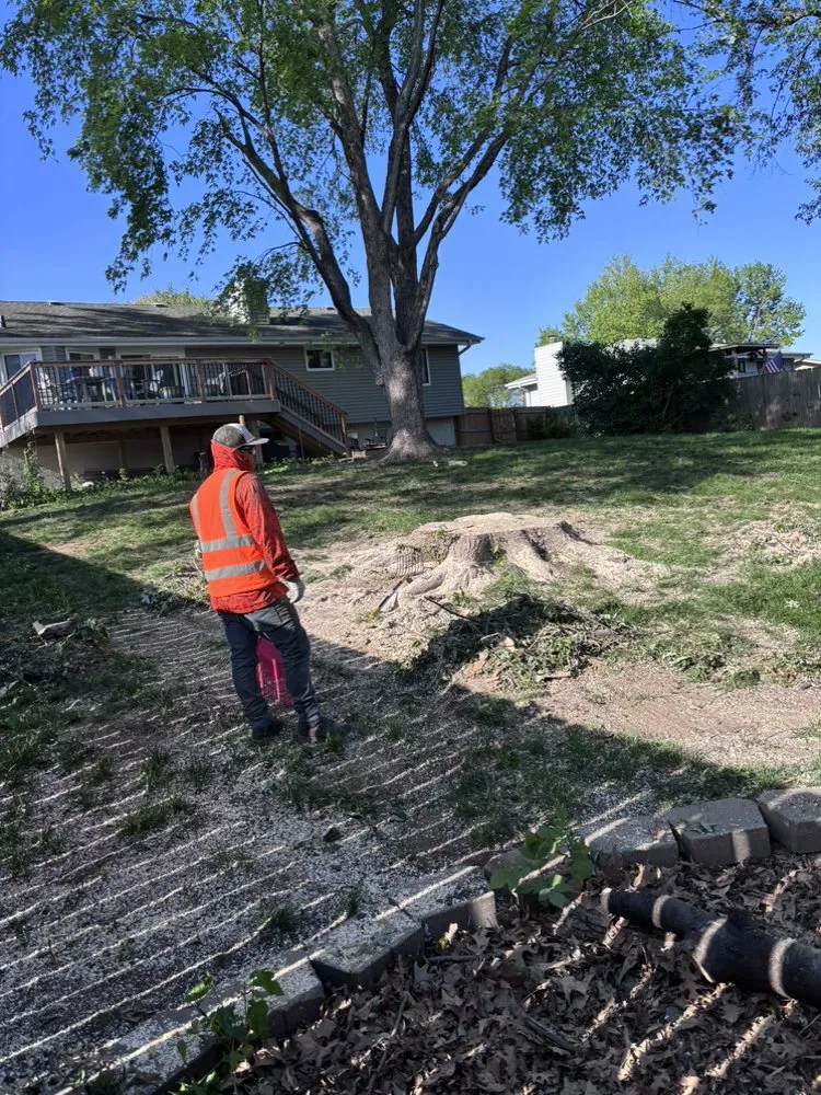 Professional yard cleanup service in Omaha, NE - Fermincho Tree Service and Lancaping