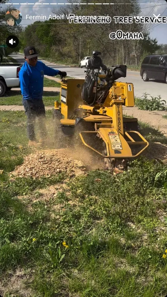 Local landscaping services in Omaha, NE - Fermincho Tree Service and Lancaping