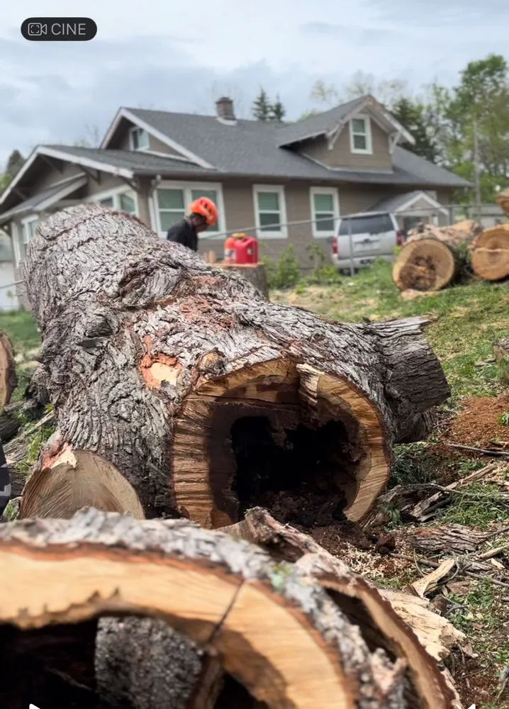 Expert garden landscaping for residential properties across Omaha, NE - Fermincho Tree Service and Lancaping