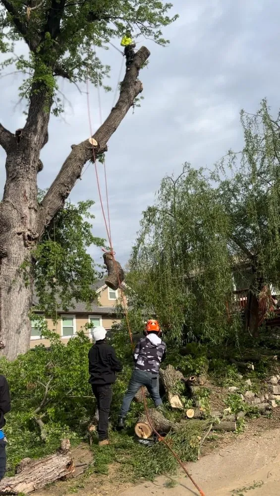 Reliable residential landscaping with custom design in Omaha, NE by Fermincho Tree Service and Lancaping